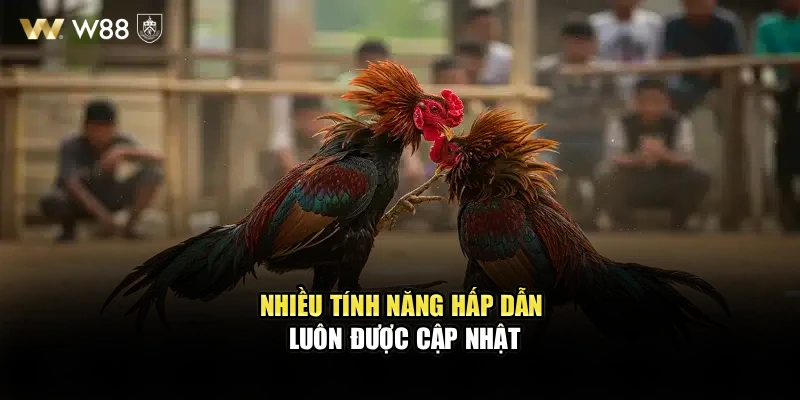 Nhiều tính năng hấp dẫn luôn được cập nhật